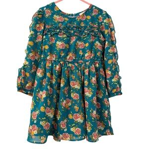 Little Lass Girls Teal Floral Ruffle Dress, Size 4T, Long Sleeve Lined Toddler